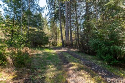 0 NE Mission Creek Road , Belfair, WA 98528 - Photo 2