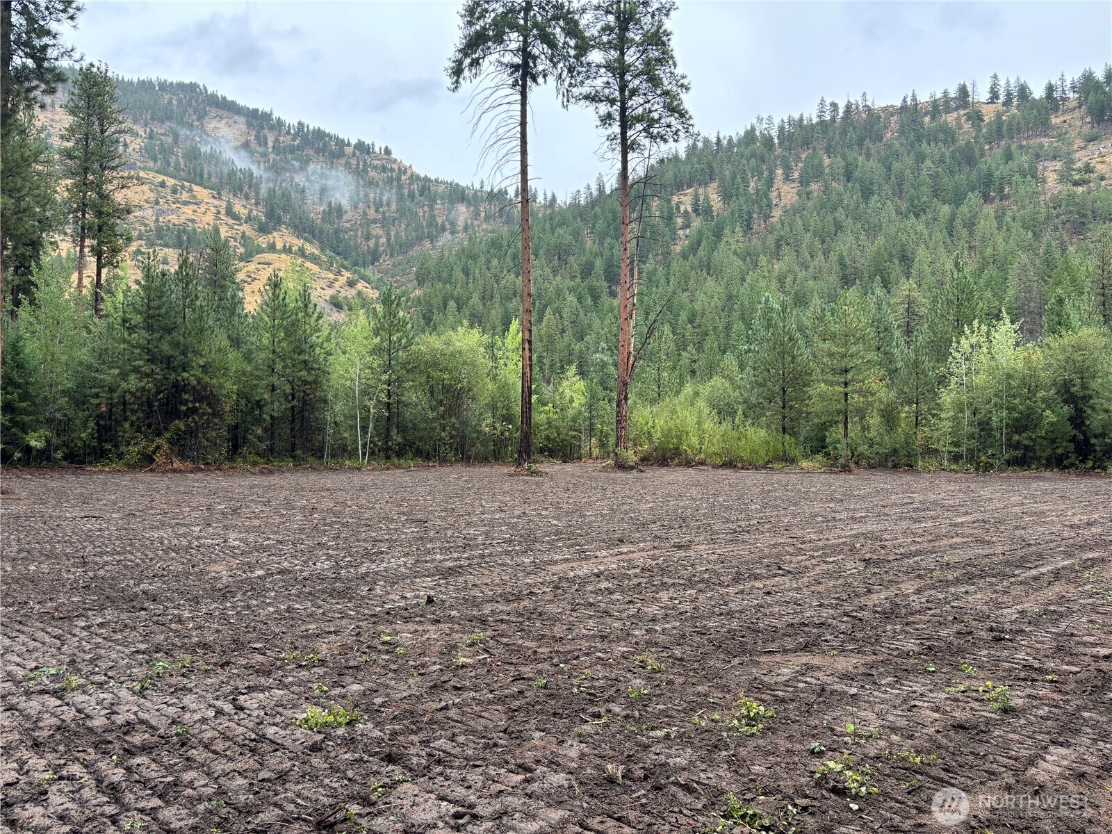 14216 Entiat River Rd , Entiat, WA 98822