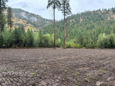 14216 Entiat River Rd , Entiat, WA 98822 - Photo 2