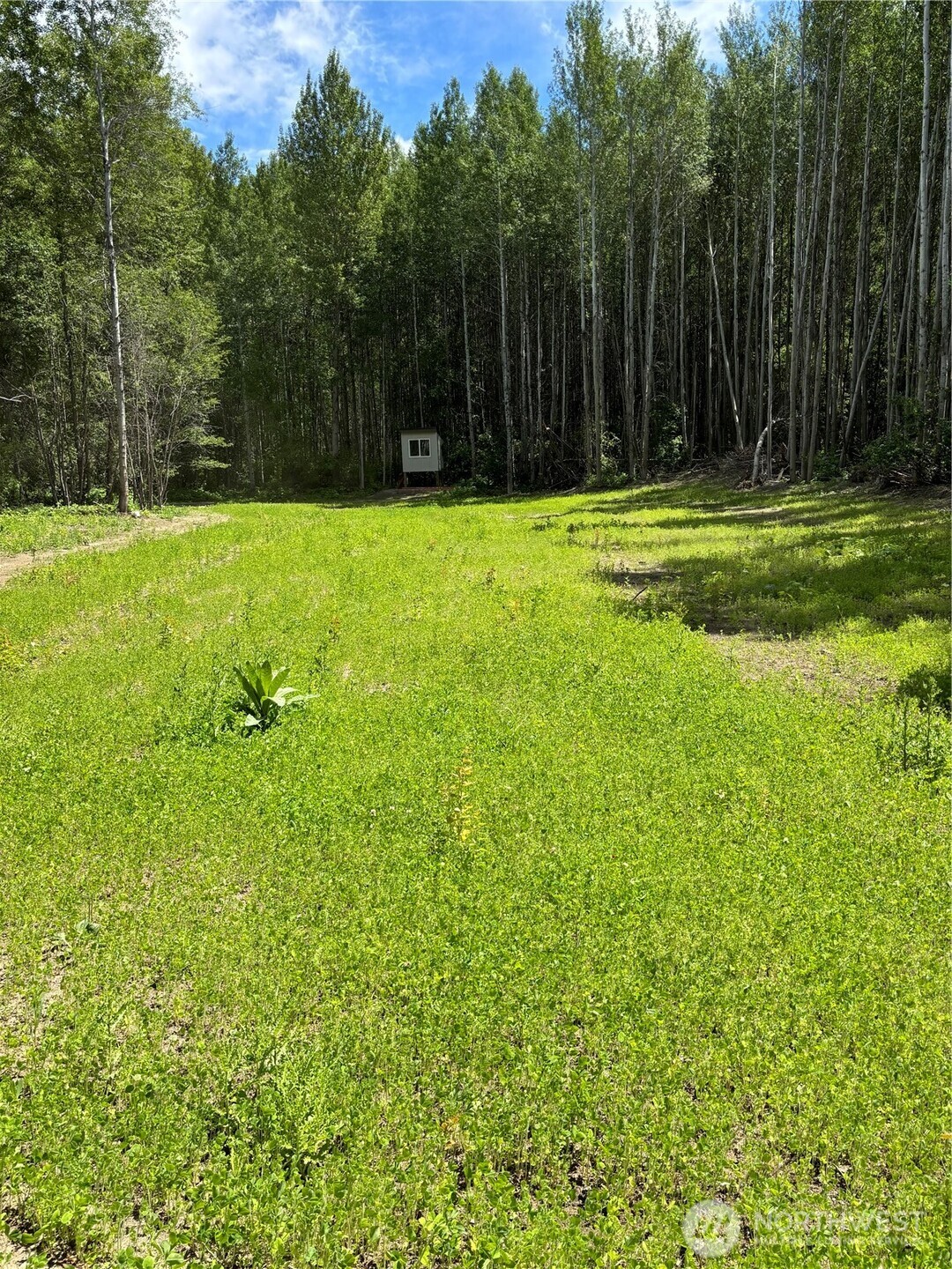 0 Entiat River Rd , Entiat, WA 98822