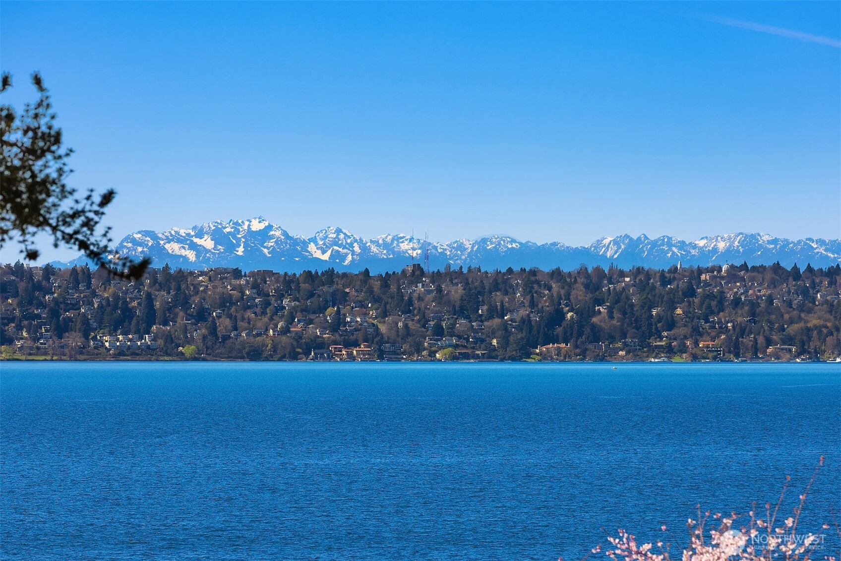 903 Shoreland Drive SE, Bellevue, WA 98004
