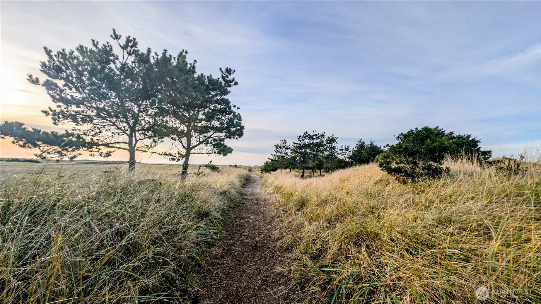 33612 I Street , Ocean Park, WA 98640