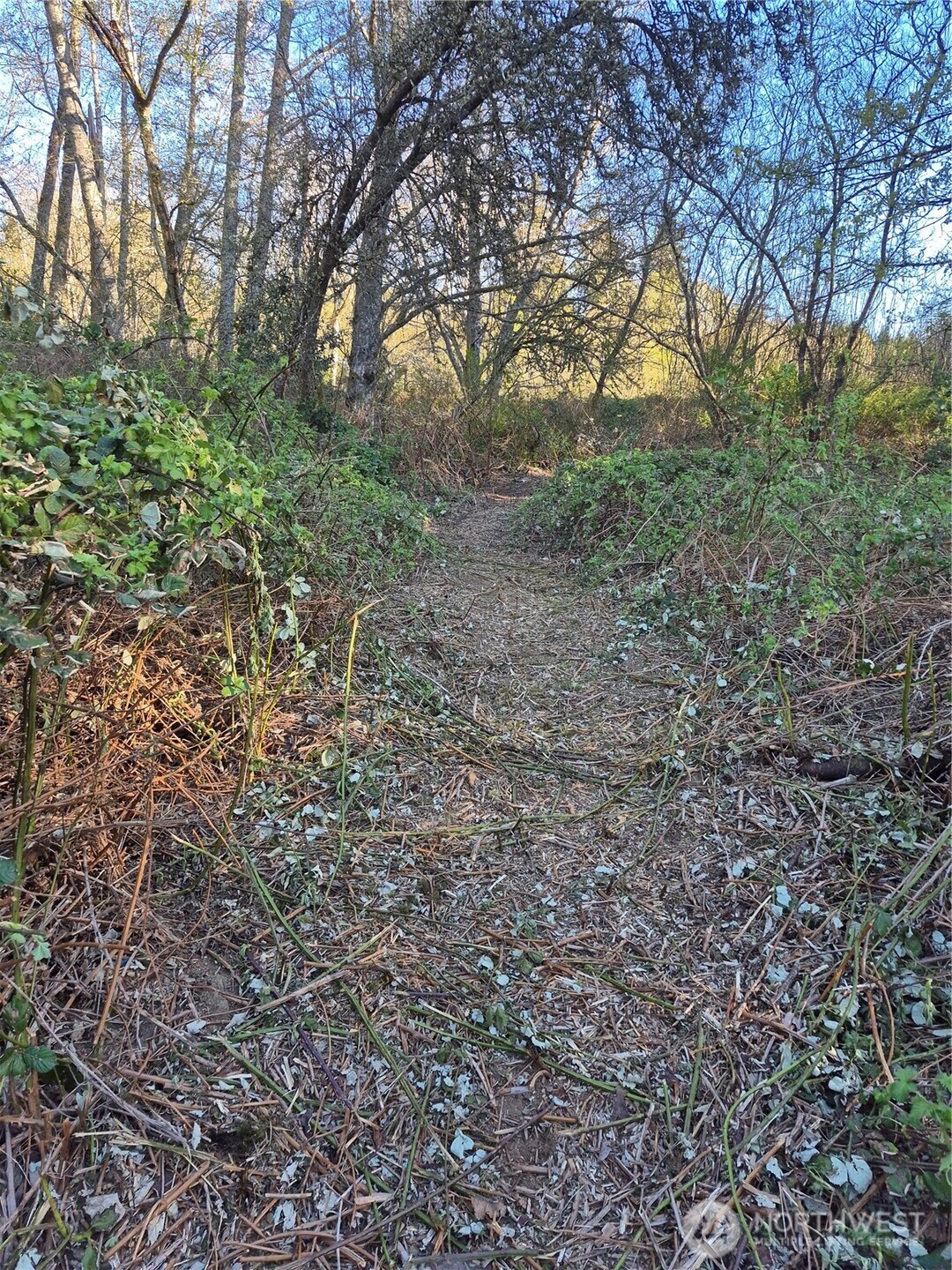 28 Lot NE Sipes Lane , Bremerton, WA 98311
