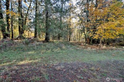 0 XXXX E Dalby Road , Union, WA 98592 - Photo 5