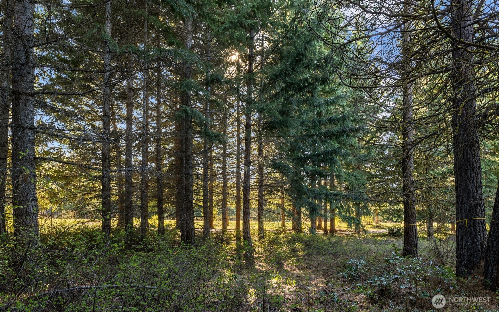 90 Gold Fountain Lane , Cle Elum, WA 98922