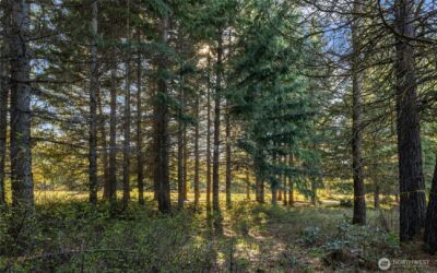 90 Gold Fountain Lane , Cle Elum, WA 98922 - Photo 4