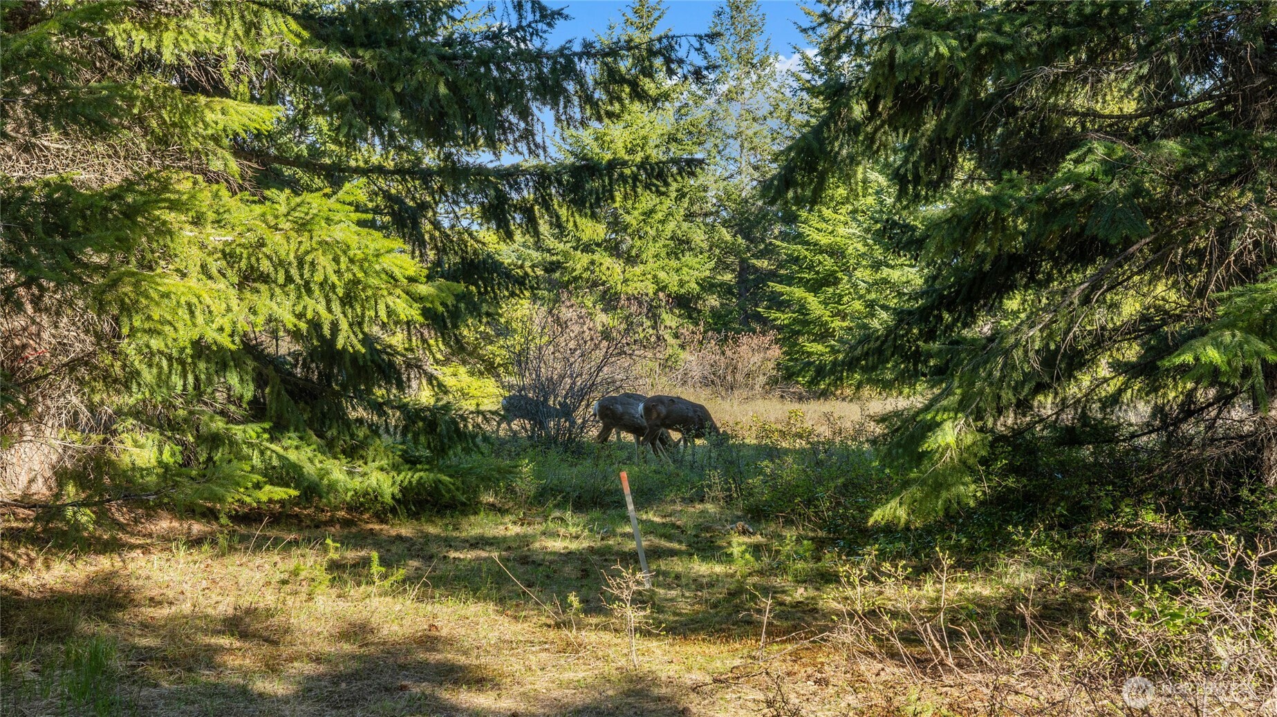 90 Gold Fountain Lane , Cle Elum, WA 98922