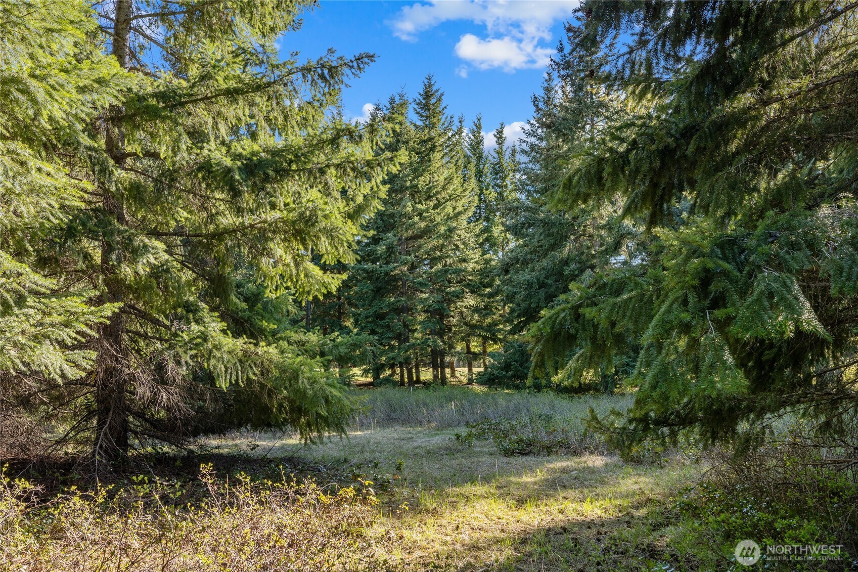 90 Gold Fountain Lane , Cle Elum, WA 98922