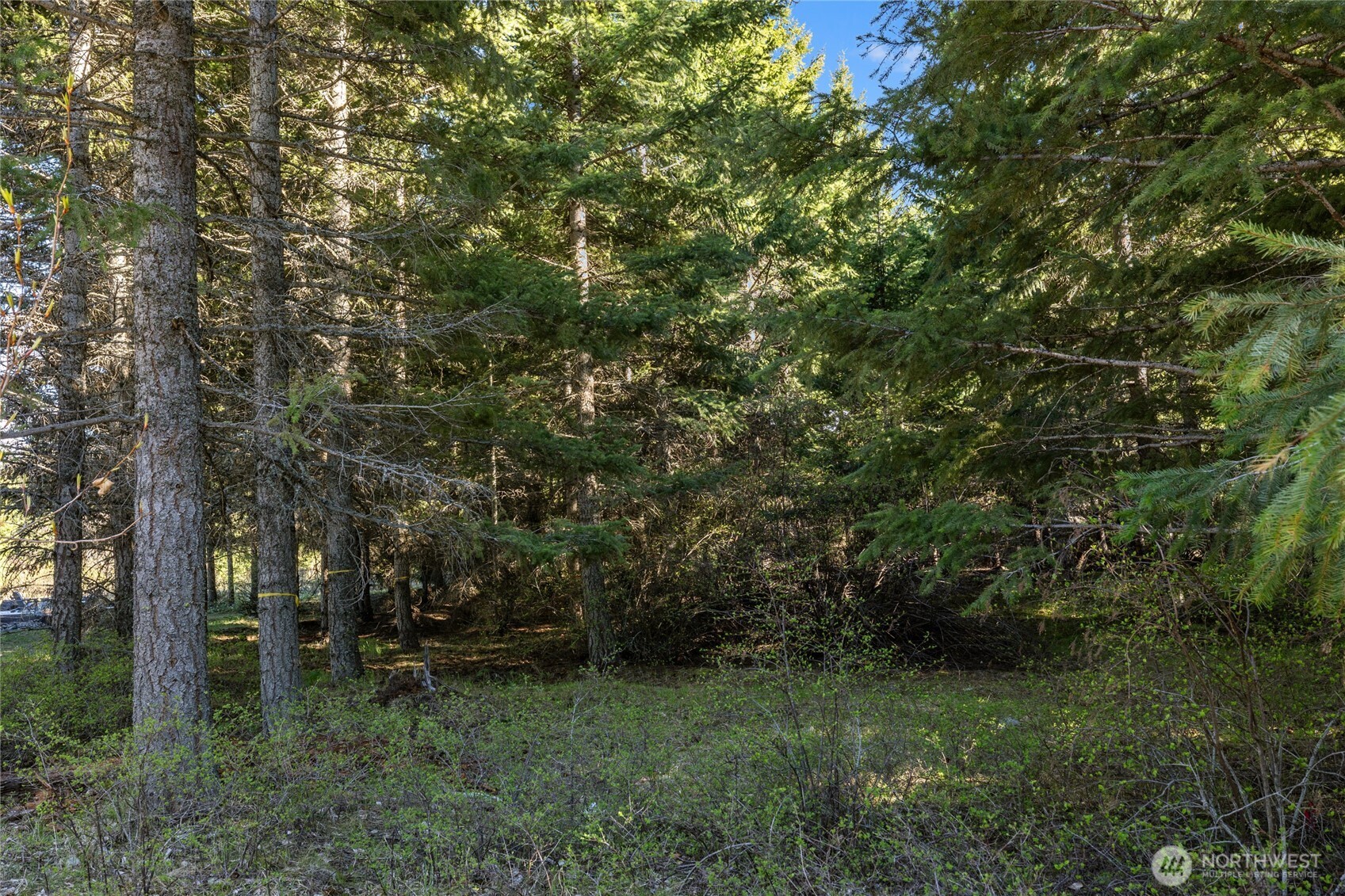 80 Gold Fountain Lane , Cle Elum, WA 98922