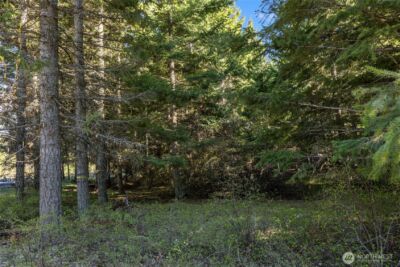 80 Gold Fountain Lane , Cle Elum, WA 98922 - Photo 4