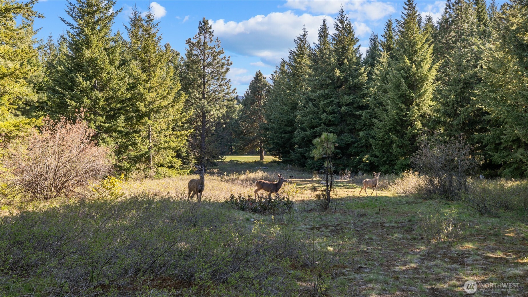 80 Gold Fountain Lane , Cle Elum, WA 98922