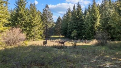 80 Gold Fountain Lane , Cle Elum, WA 98922 - Photo 6