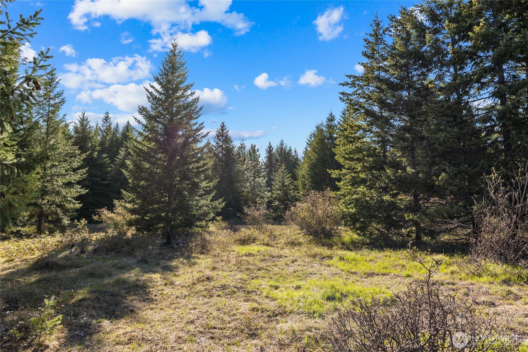 80 Gold Fountain Lane , Cle Elum, WA 98922