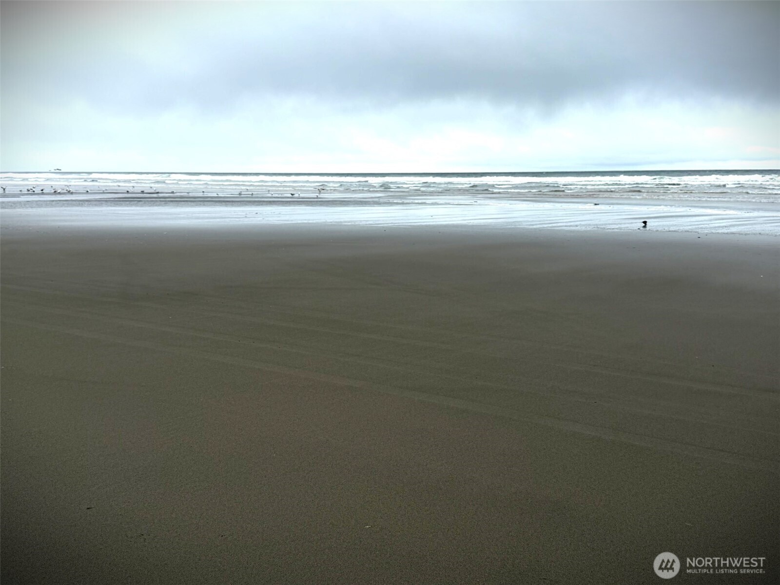 305 Godsey Lane , Long Beach, WA 98631