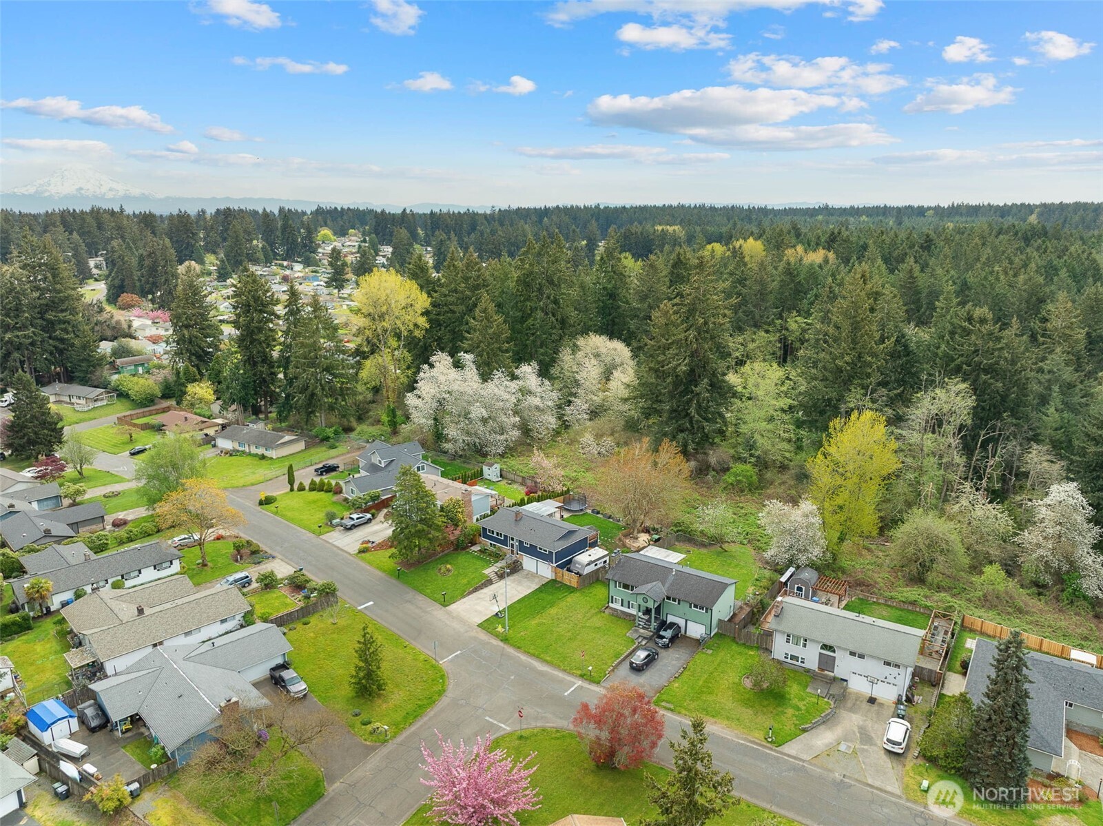 1602 Beech Avenue , Steilacoom, WA 98388