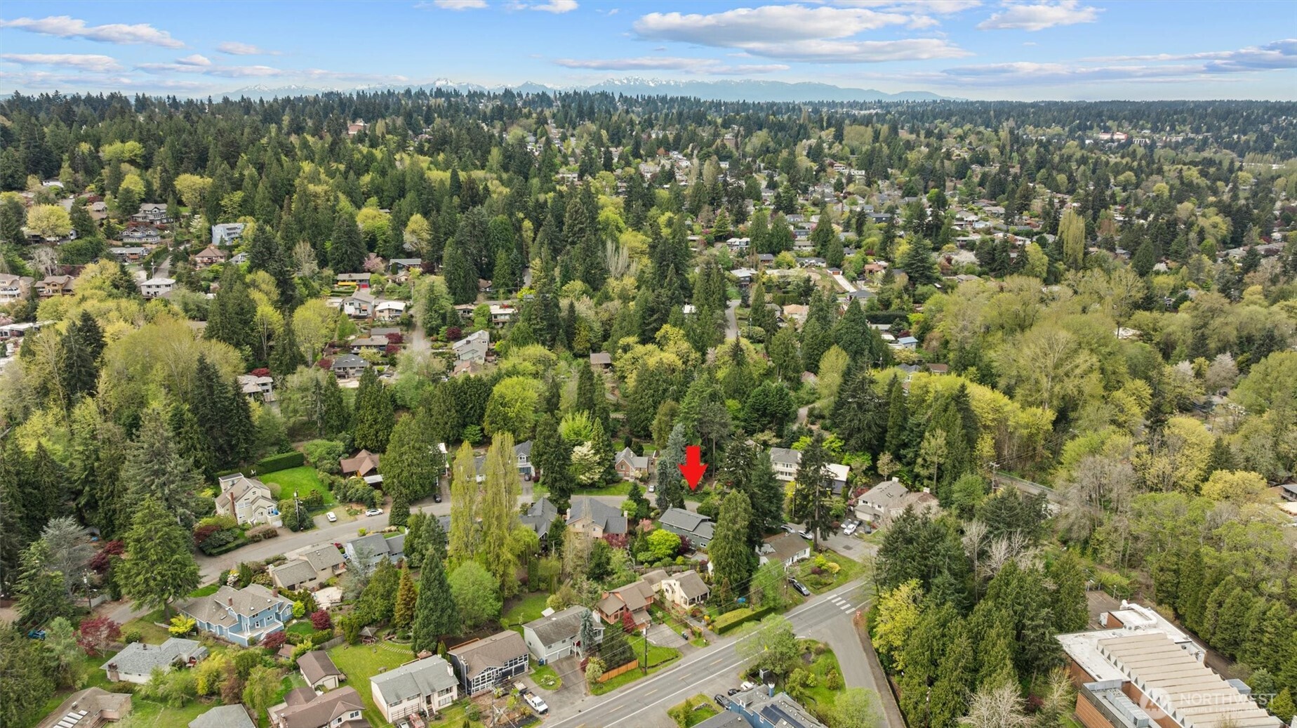 9226 Matthews Avenue NE, Seattle, WA 98115