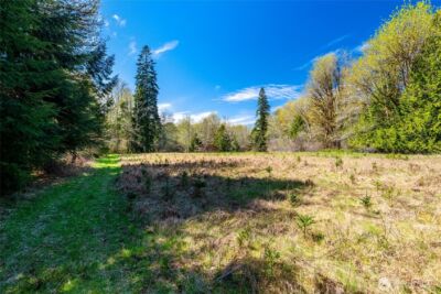 251 W Beeville Road , Matlock, WA 98560 - Photo 37