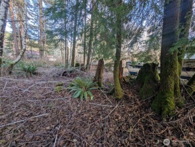 300 Sekiu River Road , Sekiu, WA 98381 - Photo 12