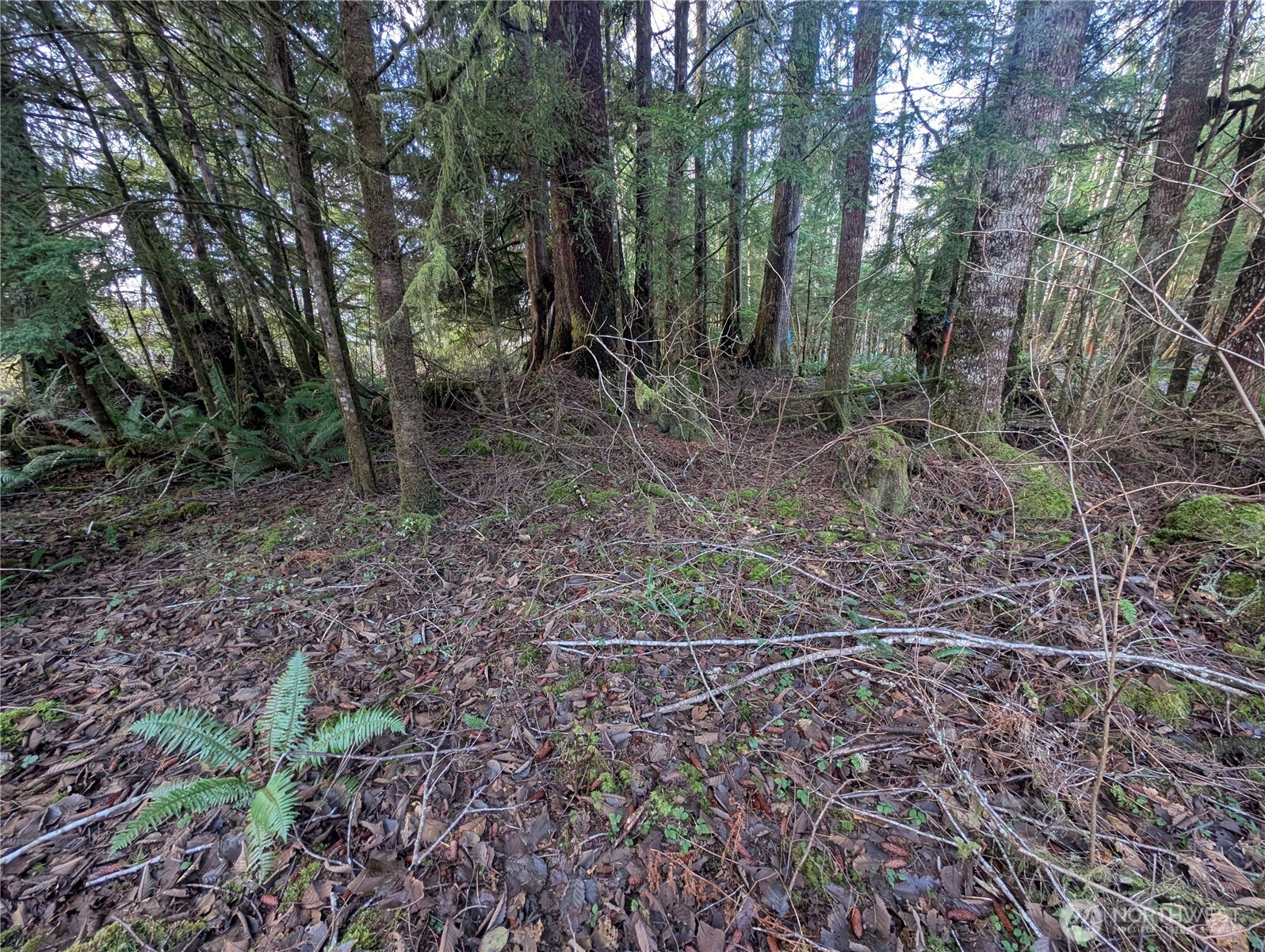 300 Sekiu River Road , Sekiu, WA 98381