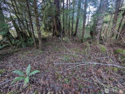 300 Sekiu River Road , Sekiu, WA 98381 - Photo 13
