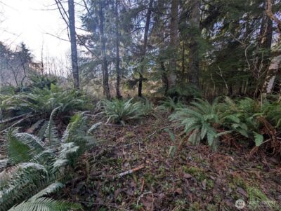 300 Sekiu River Road , Sekiu, WA 98381 - Photo 14