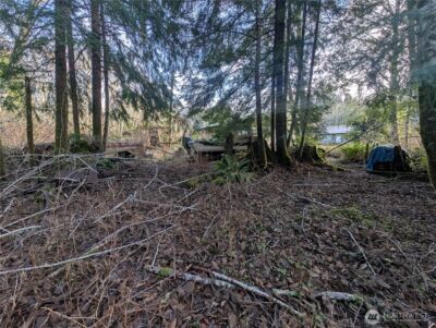 300 Sekiu River Road , Sekiu, WA 98381 - Photo 15