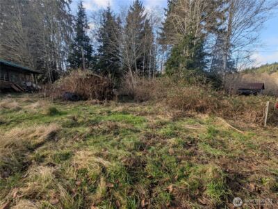 300 Sekiu River Road , Sekiu, WA 98381 - Photo 16
