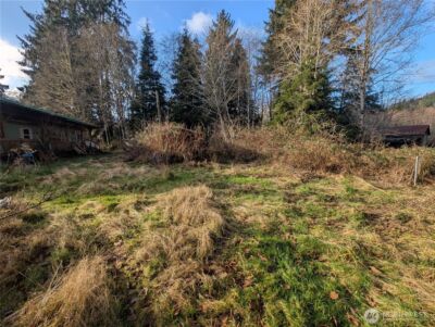300 Sekiu River Road , Sekiu, WA 98381 - Photo 8
