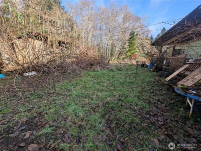 300 Sekiu River Road , Sekiu, WA 98381 - Photo 10