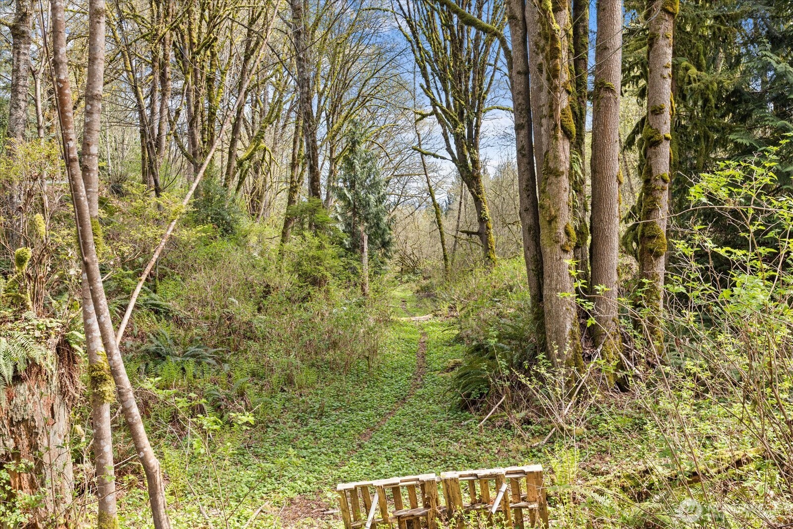 13321 Burn Road , Arlington, WA 98223