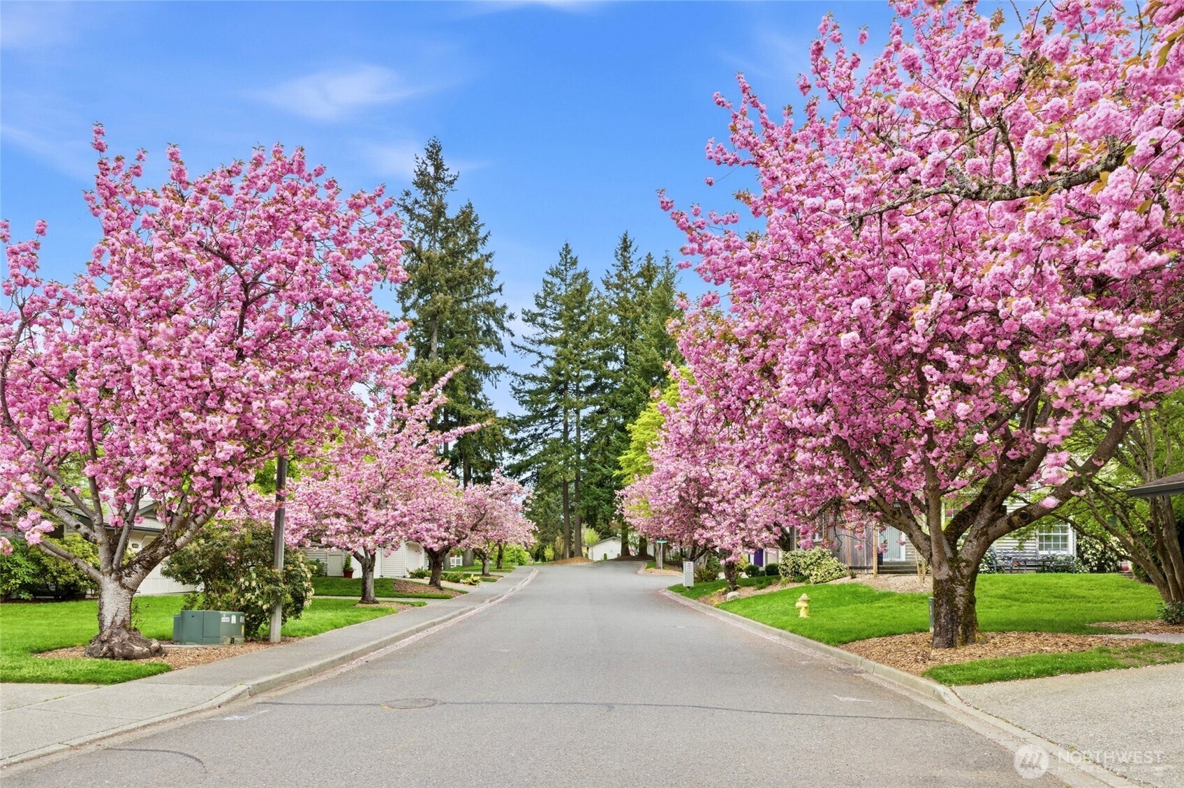 6713 113th Place SE, Bellevue, WA 98006