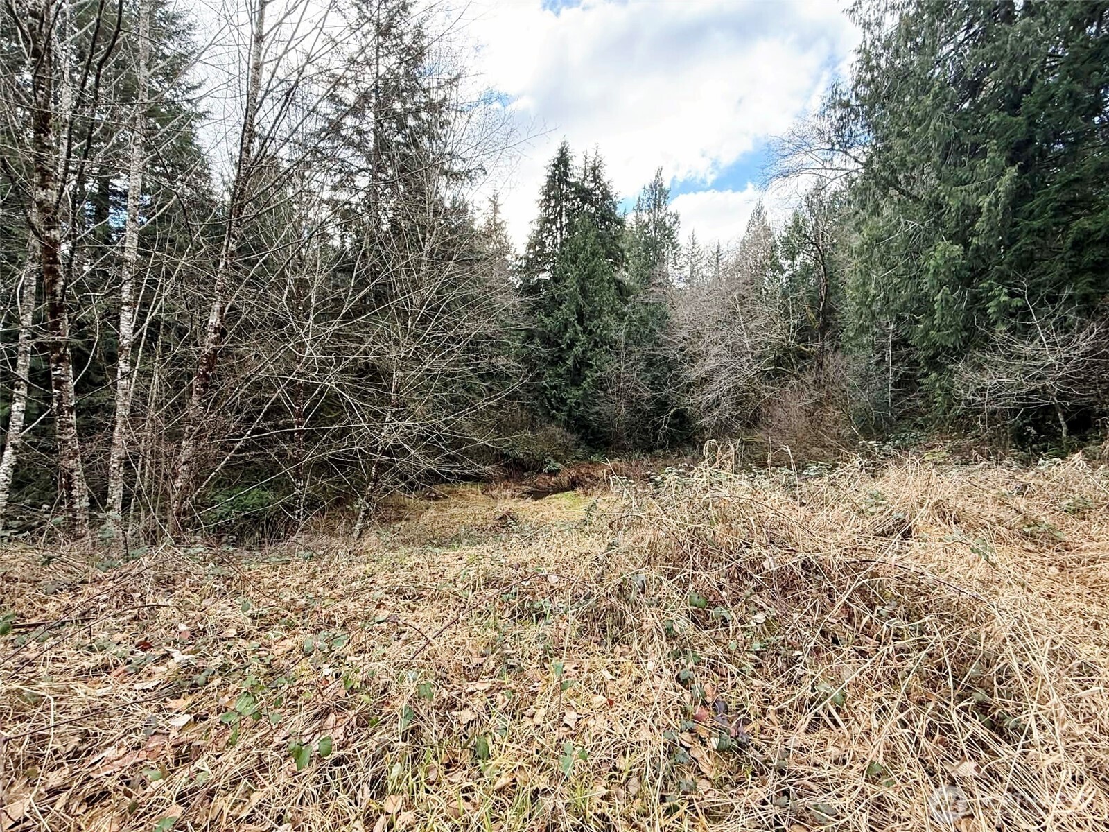 128 South Union Road , Elma, WA 98541