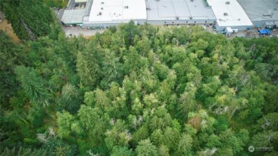 0 Lincoln Avenue SE, Port Orchard, WA 98366 - Photo 6