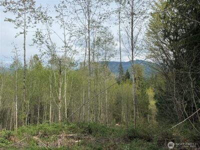 33115 37th Avenue NE, Arlington, WA 98223 - Photo 2