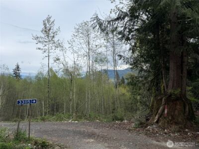 33115 37th Avenue NE, Arlington, WA 98223 - Photo 3