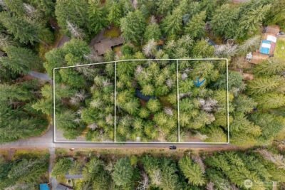 56510 383rd Avenue Ct E, Ashford, WA 98304 - Photo 2