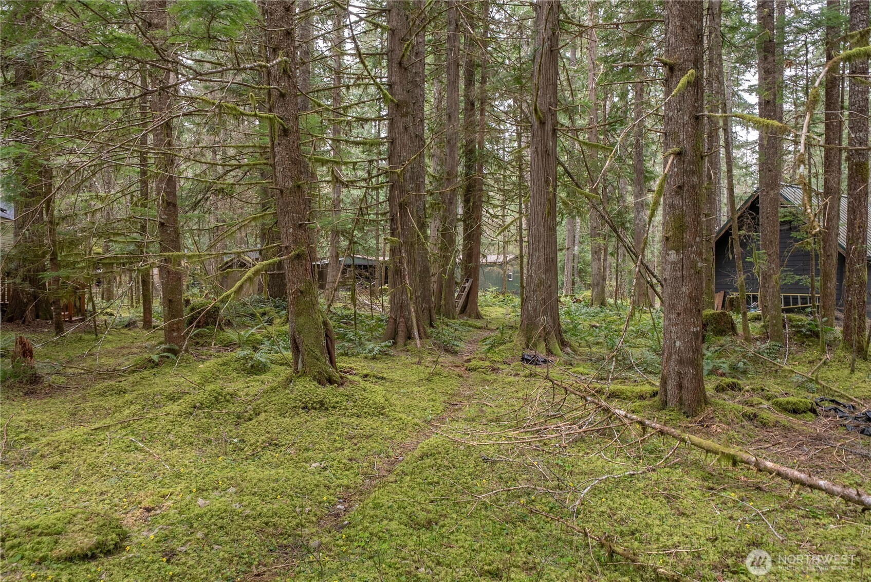 56510 383rd Avenue Ct E, Ashford, WA 98304