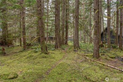 56510 383rd Avenue Ct E, Ashford, WA 98304 - Photo 6