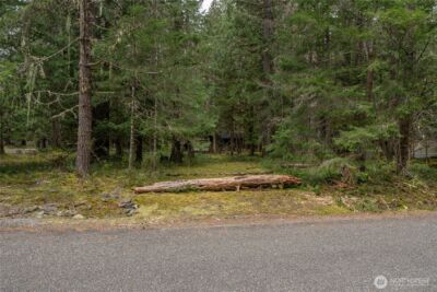 38313 566th Street Ct E, Ashford, WA 98304 - Photo 1