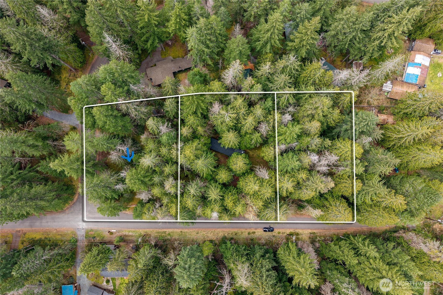 38313 566th Street Ct E, Ashford, WA 98304
