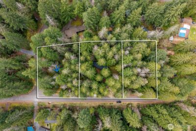 38313 566th Street Ct E, Ashford, WA 98304 - Photo 2