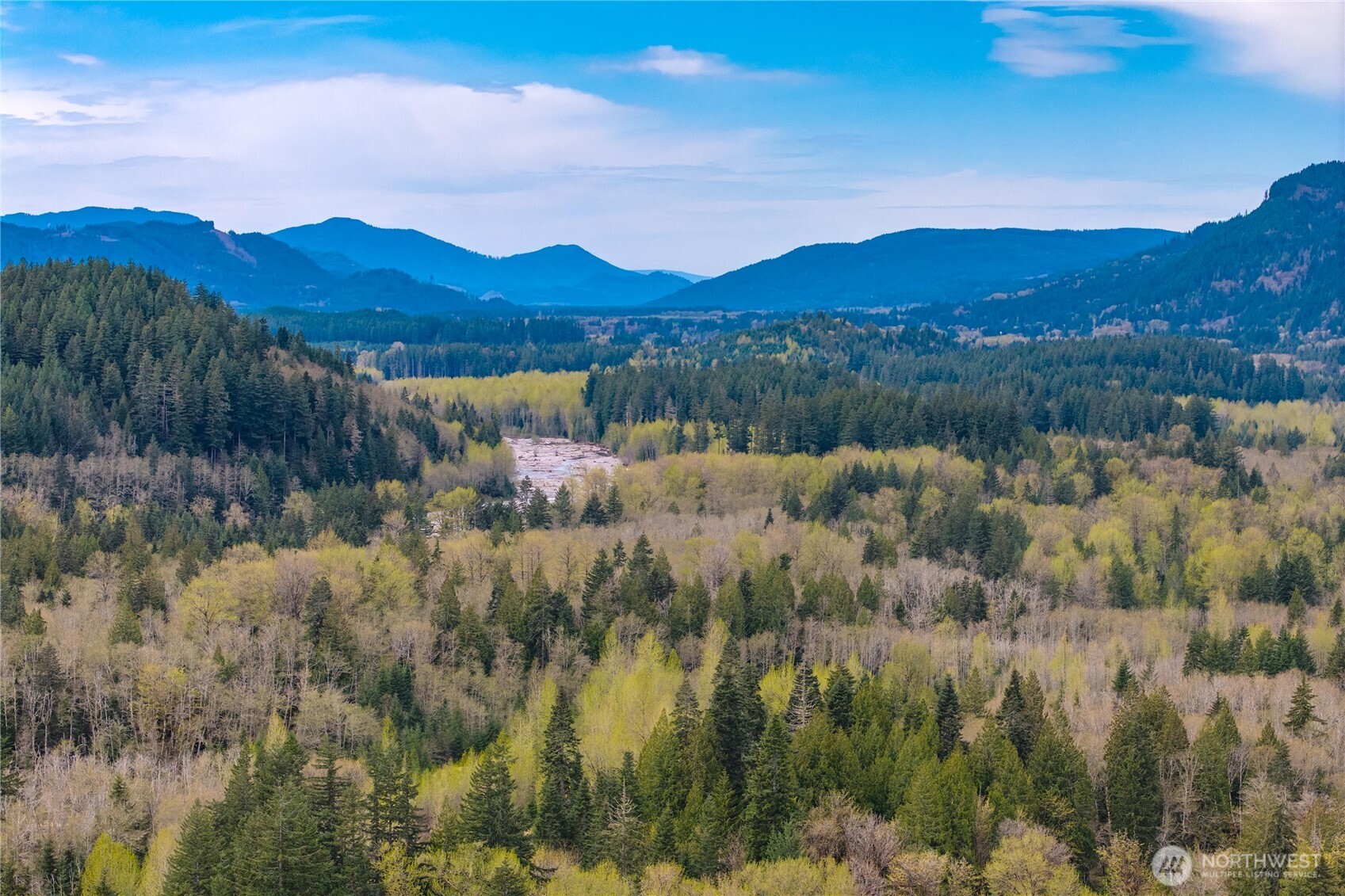 38313 566th Street Ct E, Ashford, WA 98304