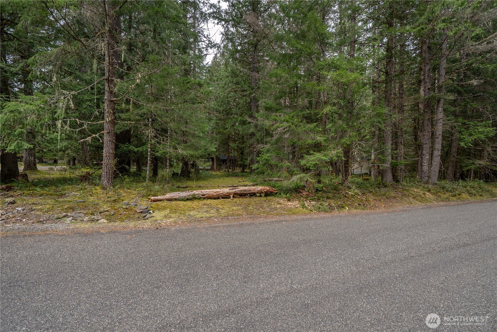 38313 566th Street Ct E, Ashford, WA 98304
