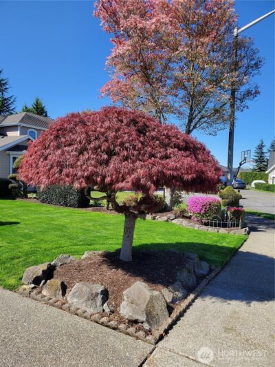 3120 Chelsea Lane , Enumclaw, WA 98022 - Photo 29