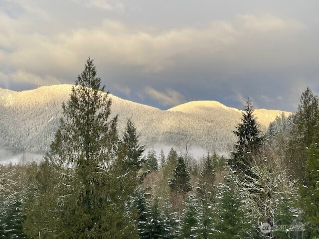 5588 State Route 508 , Morton, WA 98356