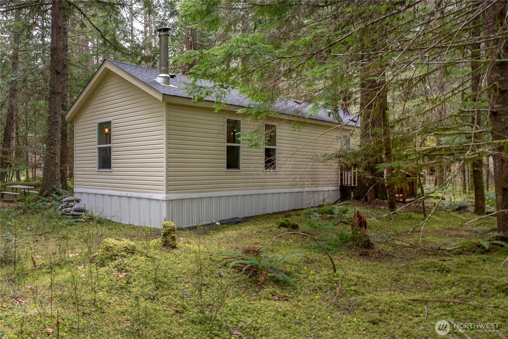 56514 383rd Avenue Ct E, Ashford, WA 98304