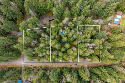 56514 383rd Avenue Ct E, Ashford, WA 98304 - Photo 2