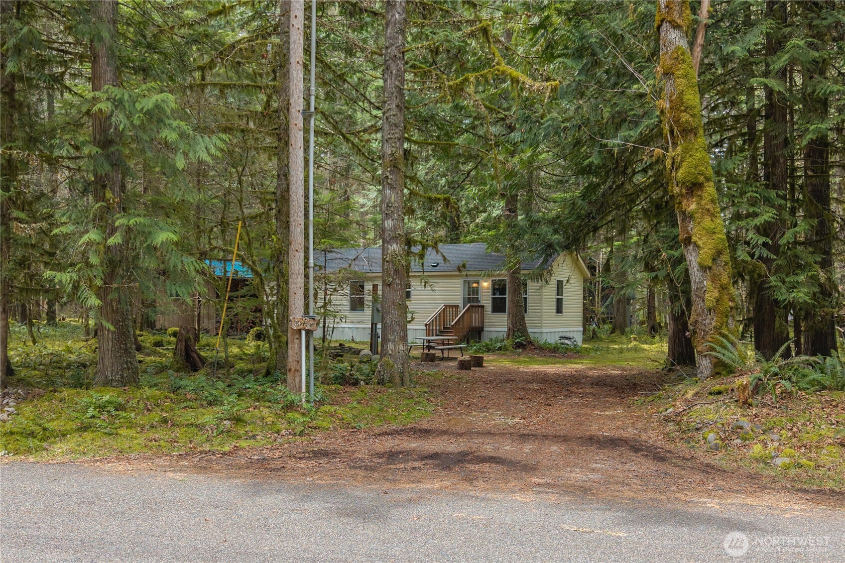 56514 383rd Avenue Ct E, Ashford, WA 98304