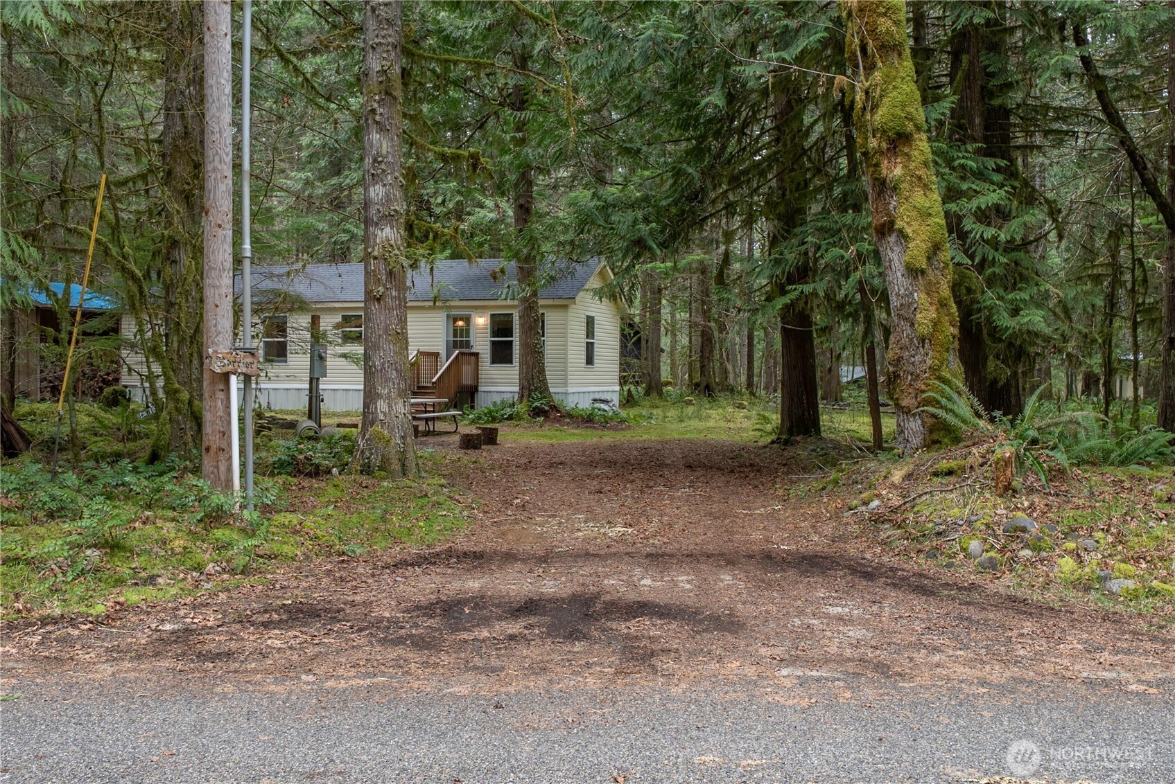 56514 383rd Avenue Ct E, Ashford, WA 98304