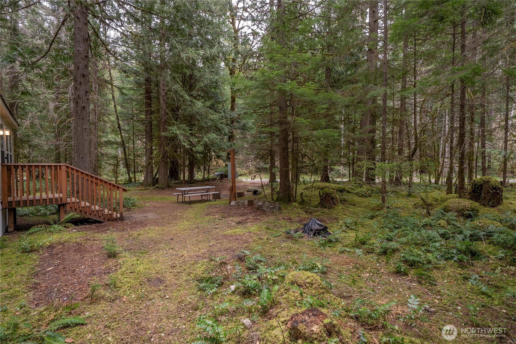 56514 383rd Avenue Ct E, Ashford, WA 98304